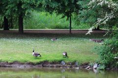 impressionen2015_21-1