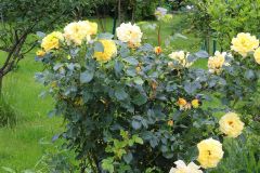 impressionen2015_22